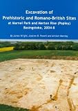 Excavation of prehistoric and Romano-British sites at Marnel Park and Merton Rise (Popley) Basingstoke, 2004-8