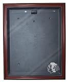 NHL Chicago Blackhawks Cabinet Style Jersey Display, Mahogany
