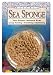 Alvin & Co. SS5 SPONGE NAT WOOL 5-6IN