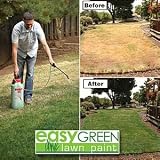 EZ Green Lawn Paint