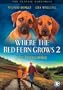 Where The Red Fern Grows