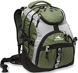 High Sierra Access Laptop Backpack