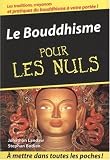 Le Bouddhisme pour les Nuls