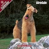 Eigenschaften Avonside Publishing Ltd.  / Kalender 2009 Airedale Terrier