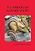 Handbook of Nature Study