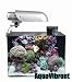 Finnex 4 Gallon Glass Tank / Aquarium, SILVER 26 Watt Light w/ Blue LED and Filter