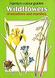 Wildflowers of meadows and marshes