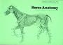 Horse Anatomy: A Pictorial Approach to Equine Structure
