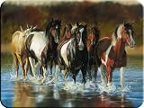 River's Edge Tempered Glass Cutting Board with Image of Horses Trotting through a Shallow River (12 x 16-Inch)
