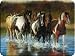 River's Edge Tempered Glass Cutting Board with Image of Horses Trotting through a Shallow River (12 x 16-Inch)