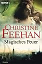 Magisches Feuer: Ein Shapeshifter-Roman (German Edition)