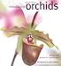 INTRODUCING ORCHIDS at Amazon Books: 510iH1CGwFL._SL75_