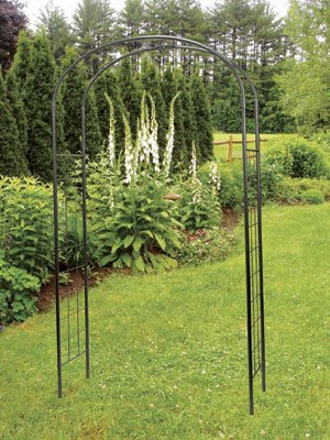 Monet Arbor