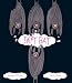 Used : Daft Bat