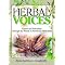 Growing and Using Herbs