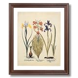 French Victorian Lilies Flower Contemporary Home Decor Wall Picture Cherry Framed Art Print