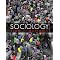 Sociology textbooks