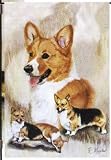 Welsh Corgis