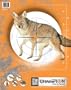 Critter Series Targets, 11x14  - 10pk