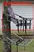 510jM2esrpL. SL75  Tree Stands For Sale