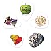 Planet Waves Beatles Guitar Picks, Albums, 10 pack, Medium Planet Waves Beatles Guitar Picks, Albums, 10 pack, Medium