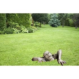 Garden Zombie