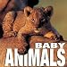 Baby Animals