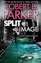 Split Image: A Jesse Stone Mystery