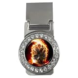 Money Clip CZ Diamonds of Flaming Skull (Harley Davidson Gear)