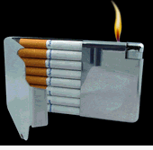 Childrens Toyshop  Health & Personal Care : All In One Cigarette Case With cigarette Lighter