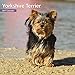 Magnet & Steel 2017 Yorkshire Terrier Calendar, Mini Calendar