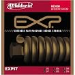 D'Addario EXP17 Acoustic - Medium