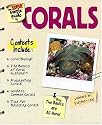 The Super Simple Guide to Corals