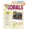 The Super Simple Guide to Corals