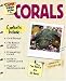 The Super Simple Guide to Corals (Super Simple Guide To...)