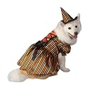 Pet Witch Costume