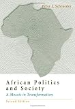 African Politics and Society: A Mosaic in Transformation