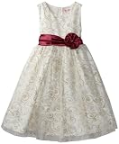 Young Hearts Girls 2-6X Satin Glitter Dress