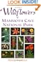 Wildflowers of Mammoth Cave National Park