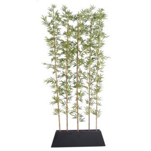 Laura Ashley 8 Foot Tall Bamboo Tree Screen in Contemporary Wood Planter