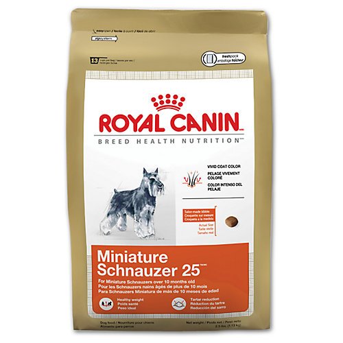 royal canin mini schnauzer food