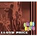 Lloyd Rocks