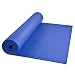 Gaiam Premium Yoga Mat (Blue)