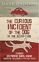 The Curious Incident of the Dog in the Night-Time: Children's Edition