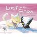 Lost in the Snow