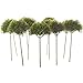 Factory Direct Craft Group of 12 Vivid Green Artificial Ming Pine Picks for Fairy Gardens, Crafting and Embellishing