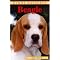 Rund um den Beagle