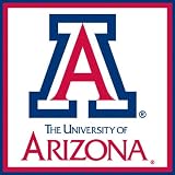 Arizona Wildcats Paper Cube