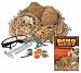 I Dig Dinosaurs Dino Nest Excavation Adventure Toy
