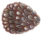 Funky ZAD Large Fashionable Brown Feather Hair Clip with Alligator Clip